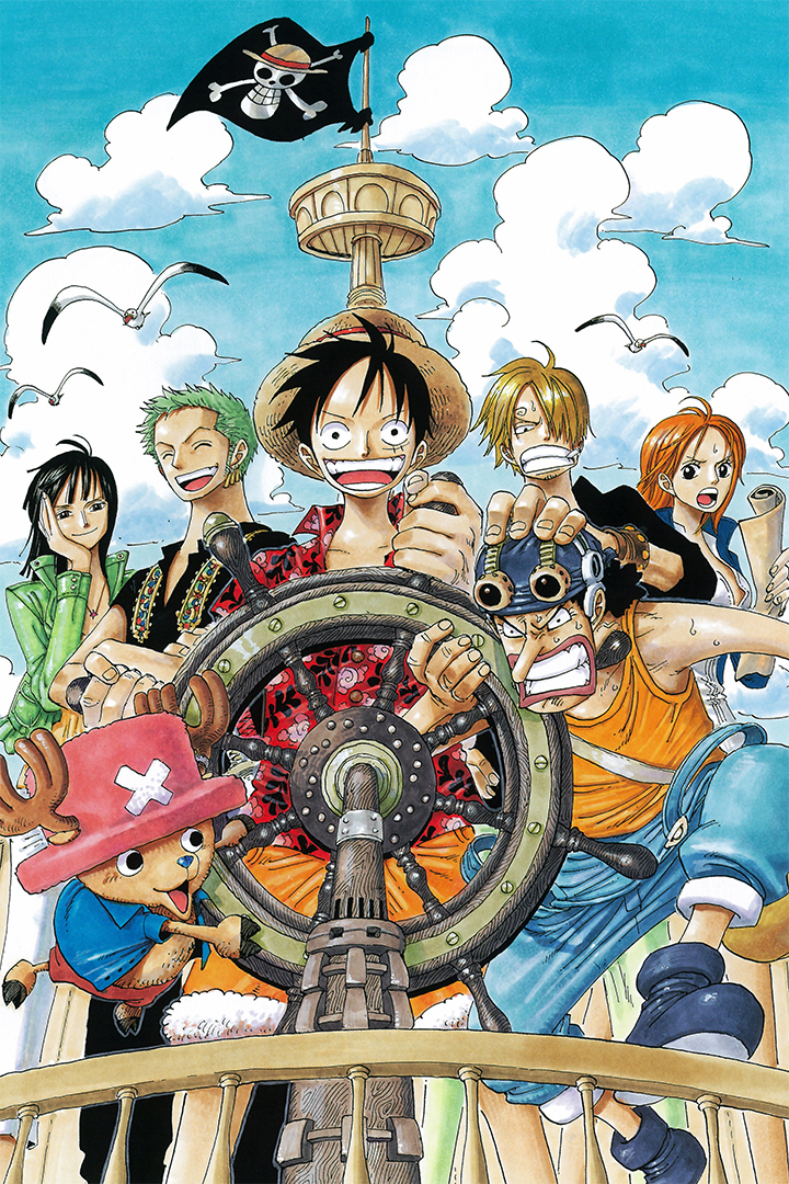Décor Pixazyme One Piece
